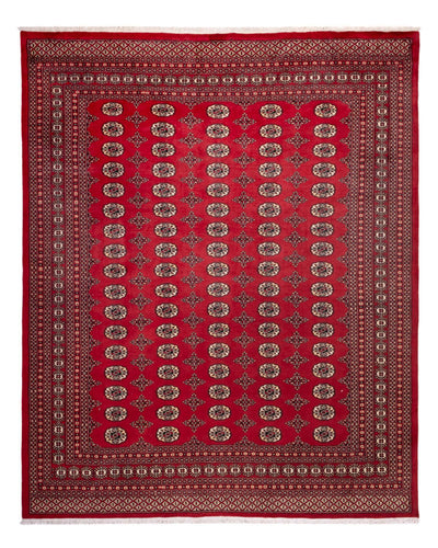 ブハラ 絨毯 248x309cm - オリエンタル絨毯