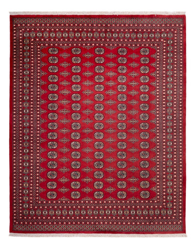 ブハラ 絨毯 248x315cm - オリエンタル絨毯