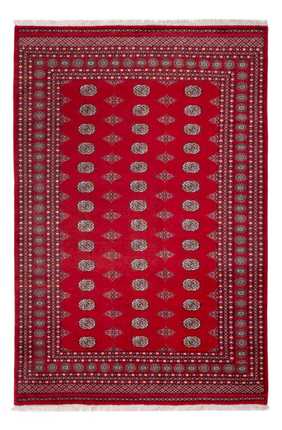 ブハラ 絨毯 205x303cm - オリエンタル絨毯