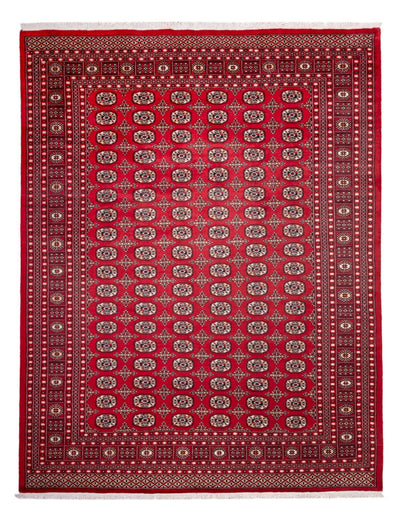 ブハラ 絨毯 243x311cm - オリエンタル絨毯