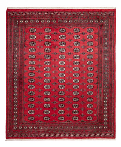 ブハラ 絨毯 246x305cm - オリエンタル絨毯