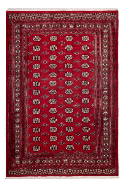ブハラ 絨毯 200x290cm - オリエンタル絨毯