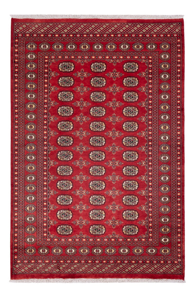 パキスタン絨毯 158x237cm - オリエンタル絨毯