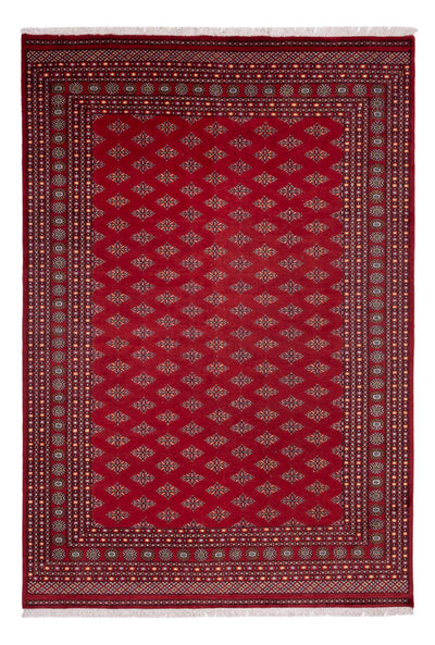 ブハラ 絨毯 249x365cm - オリエンタル絨毯