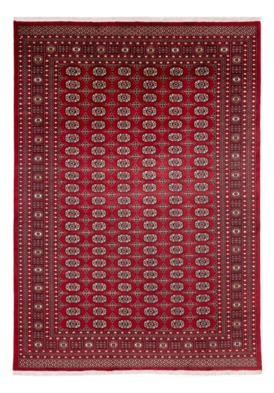 ブハラ 絨毯 241x346cm - オリエンタル絨毯