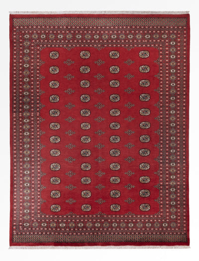 パキスタン絨毯 251x331cm - オリエンタル絨毯