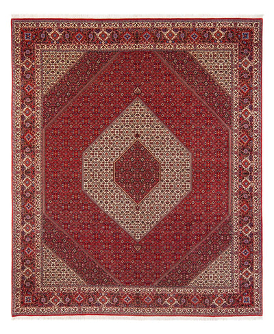 ビジャー - タカブ 絨毯 253x301cm - ペルシャ絨毯