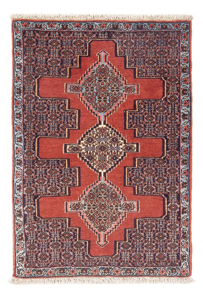 センネ 絨毯 68x103cm - ペルシャ絨毯