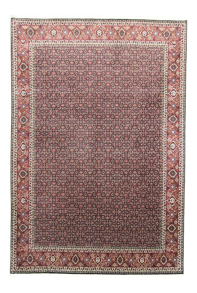 ビジャー 絨毯 202x296cm - ペルシャ絨毯