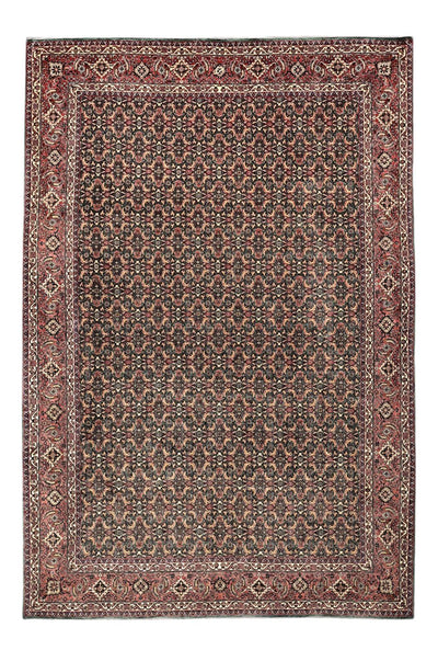 ビジャー 絨毯 203x301cm - ペルシャ絨毯