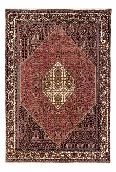 ビジャー - タカブ 絨毯 200x291cm - ペルシャ絨毯