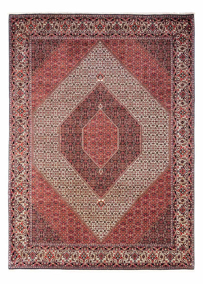 ビジャー - タカブ 絨毯 252x349cm - ペルシャ絨毯