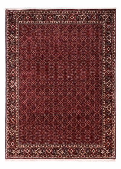 ビジャー - ザンジャン 絨毯 250x350cm - ペルシャ絨毯