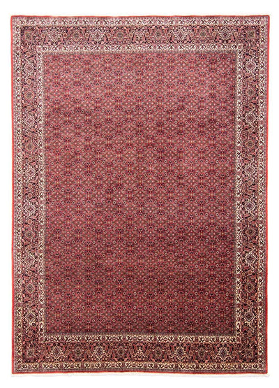 ビジャー 絨毯 251x343cm - ペルシャ絨毯