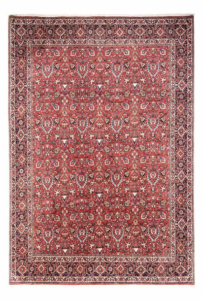 ビジャー - タカブ 絨毯 250x346cm - ペルシャ絨毯