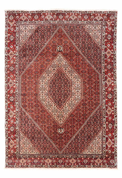 ビジャー - タカブ 絨毯 195x285cm - ペルシャ絨毯