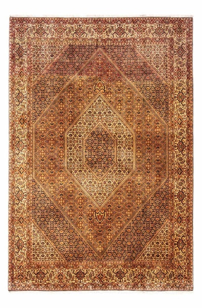 ビジャー - タカブ 絨毯 202x297cm - ペルシャ絨毯