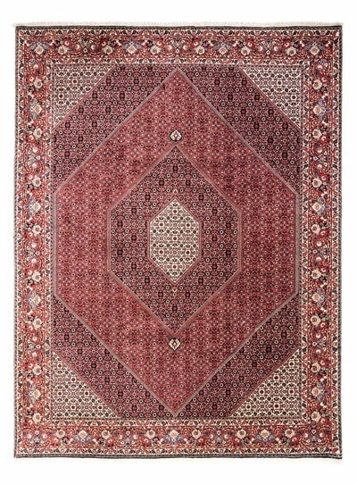 ビジャー - タカブ 絨毯 252x346cm - ペルシャ絨毯