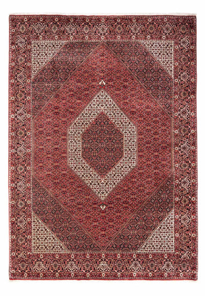 ビジャー - タカブ 絨毯 252x350cm - ペルシャ絨毯