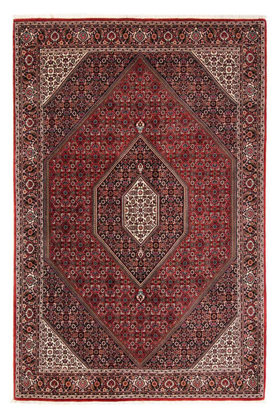 ビジャー 絨毯 169x258cm - ペルシャ絨毯