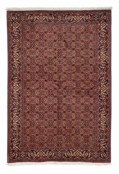 ビジャー 絨毯 170x246cm - ペルシャ絨毯