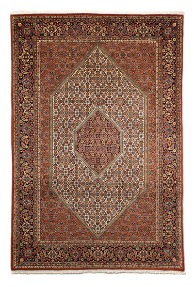 ビジャー 絨毯 202x297cm - ペルシャ絨毯