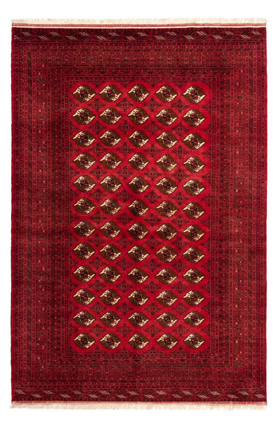シーラーズ 絨毯 203x290cm - ペルシャ絨毯