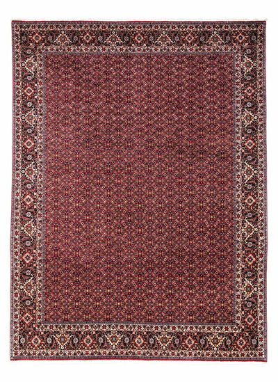 ビジャー - タカブ 絨毯 250x349cm - ペルシャ絨毯