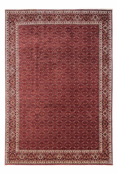 ビジャー - タカブ 絨毯 253x345cm - ペルシャ絨毯