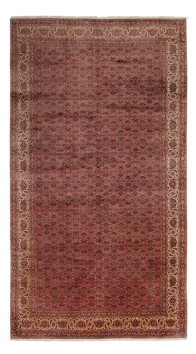 ビジャー - タカブ 絨毯 256x482cm - ペルシャ絨毯