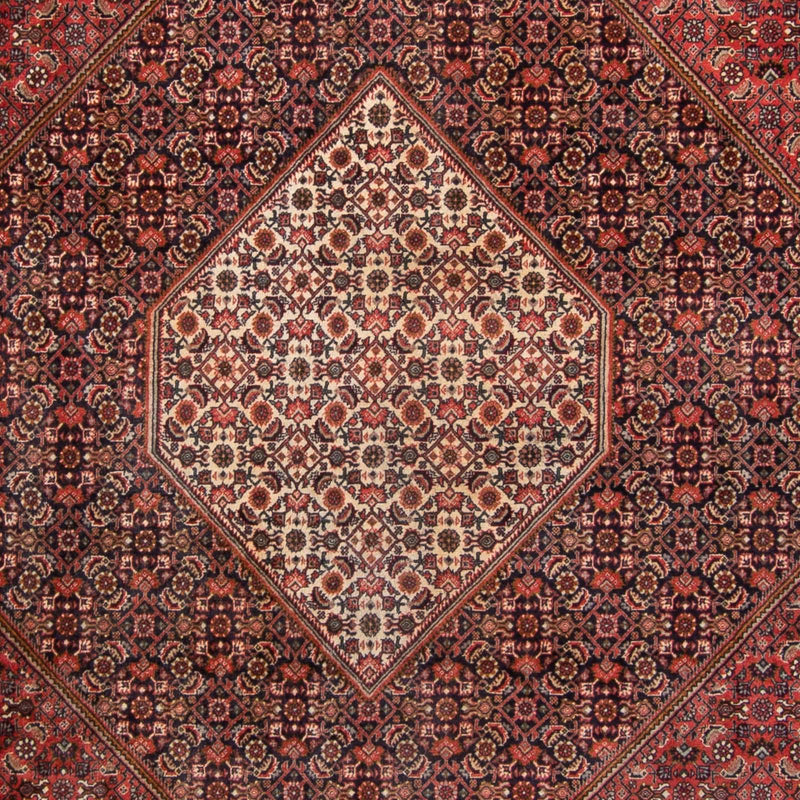 ビジャー 絨毯 350x250cm - ペルシャ絨毯