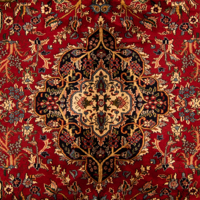 インド サルーク 絨毯 298x207cm - オリエンタル絨毯
