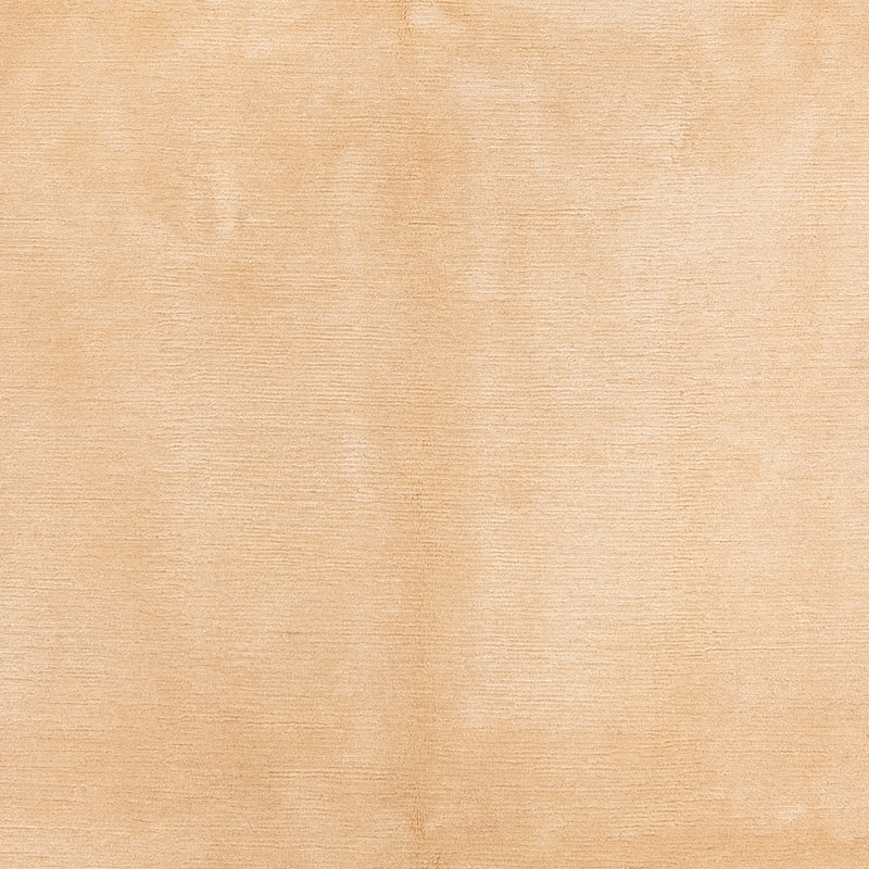 ネパール絨毯 295x199cm - ウールラグ
