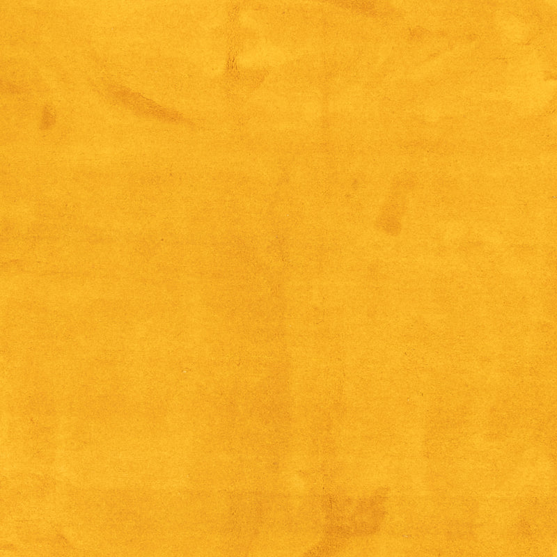 インド ギャベ 絨毯 389x300cm - ウールラグ