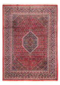 インド ビジャー 絨毯 338x251cm - オリエンタル絨毯 – product image
