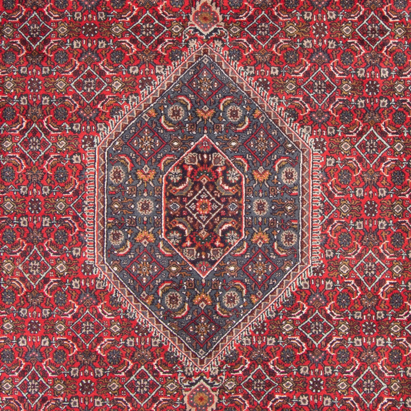 インド ビジャー 絨毯 338x251cm - オリエンタル絨毯
