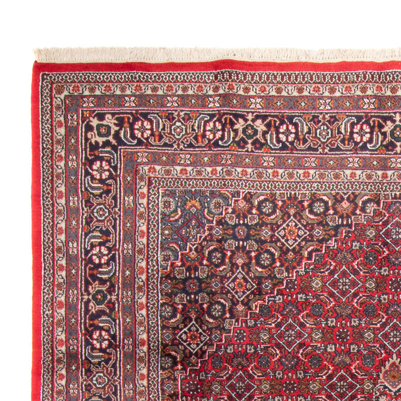 インド ビジャー 絨毯 338x251cm - オリエンタル絨毯