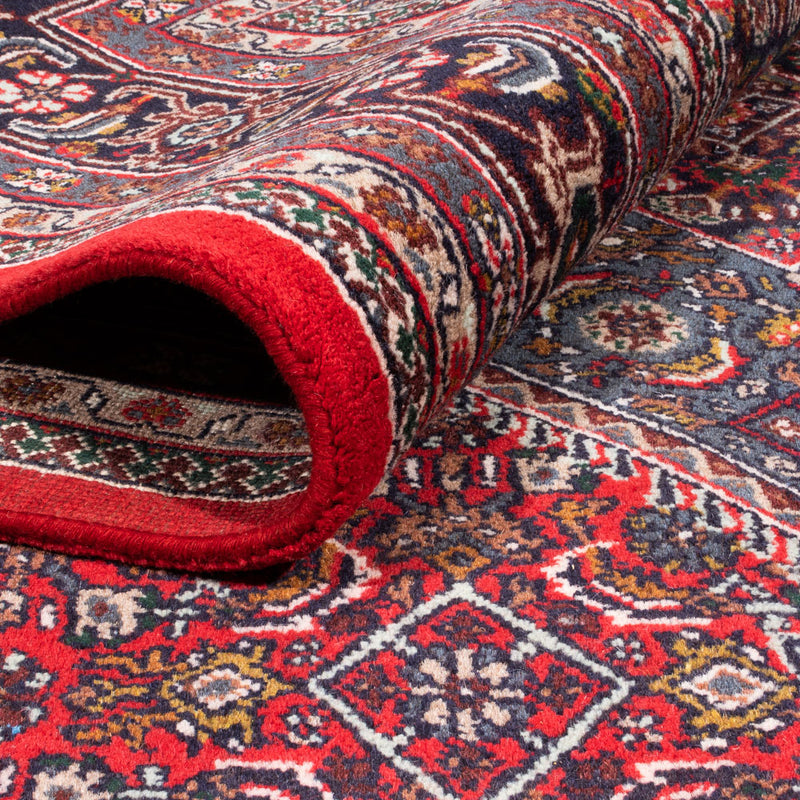 インド ビジャー 絨毯 338x251cm - オリエンタル絨毯