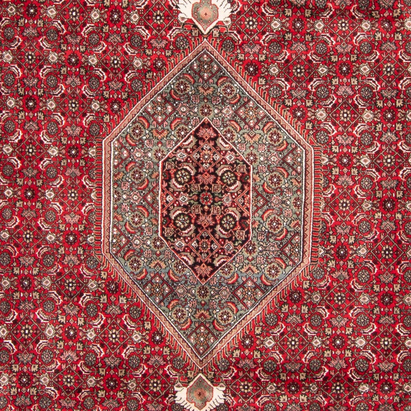 インド ビジャー 絨毯 361x255cm - オリエンタル絨毯