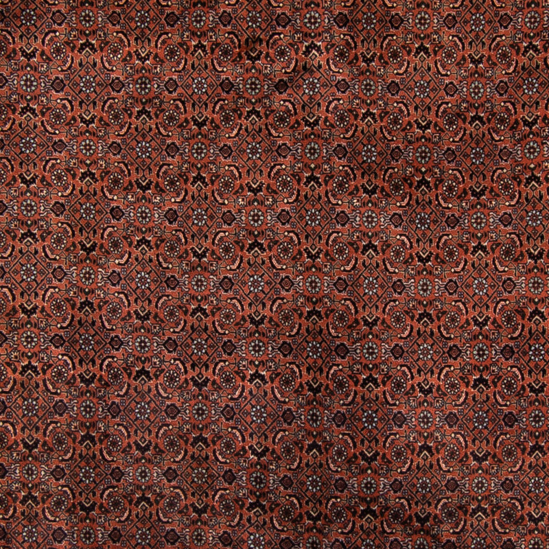 ビジャー 絨毯 296x210cm - ペルシャ絨毯