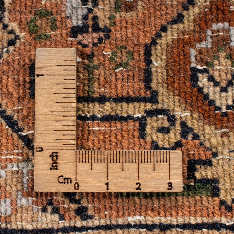 インド ビジャー 絨毯 309x203cm - オリエンタル絨毯