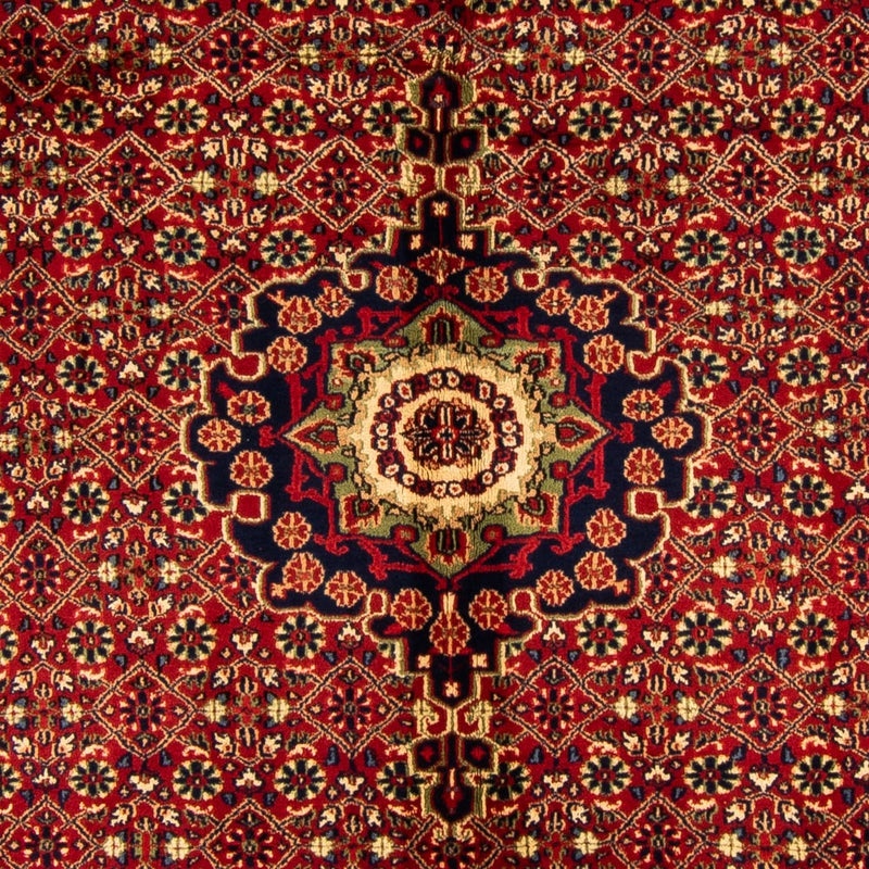 インド ビジャー 絨毯 308x198cm - オリエンタル絨毯