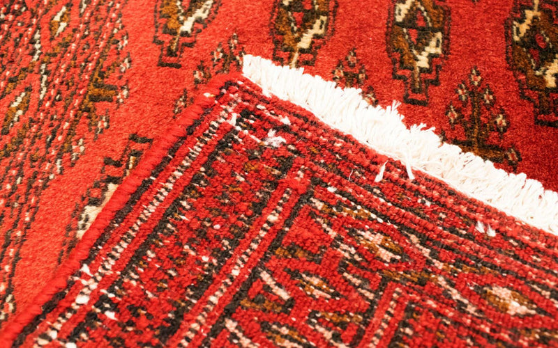 トルカマン絨毯 100x50cm - ペルシャ絨毯