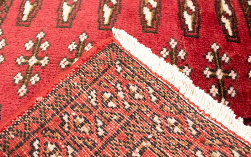 トルカマン絨毯 100x50cm - ペルシャ絨毯
