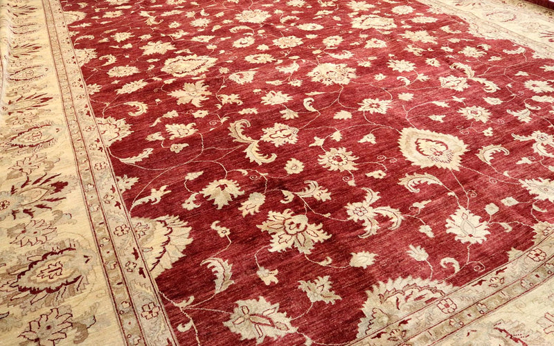 ツィーグラー絨毯 567x421cm - オリエンタル絨毯