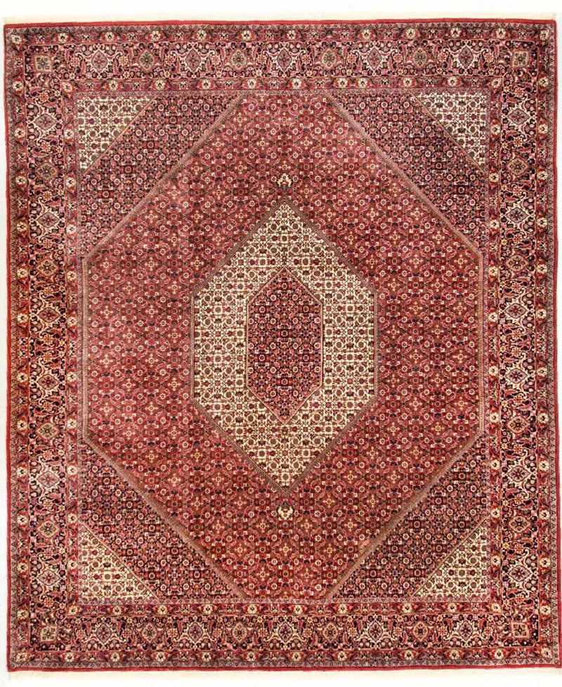 ビジャー - タカブ 絨毯 310x250cm - ペルシャ絨毯
