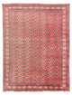 トルカマン絨毯 268x195cm - ペルシャ絨毯