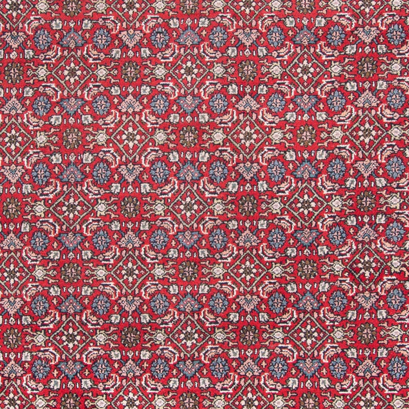 インド ビジャー 絨毯 353x253cm - オリエンタル絨毯