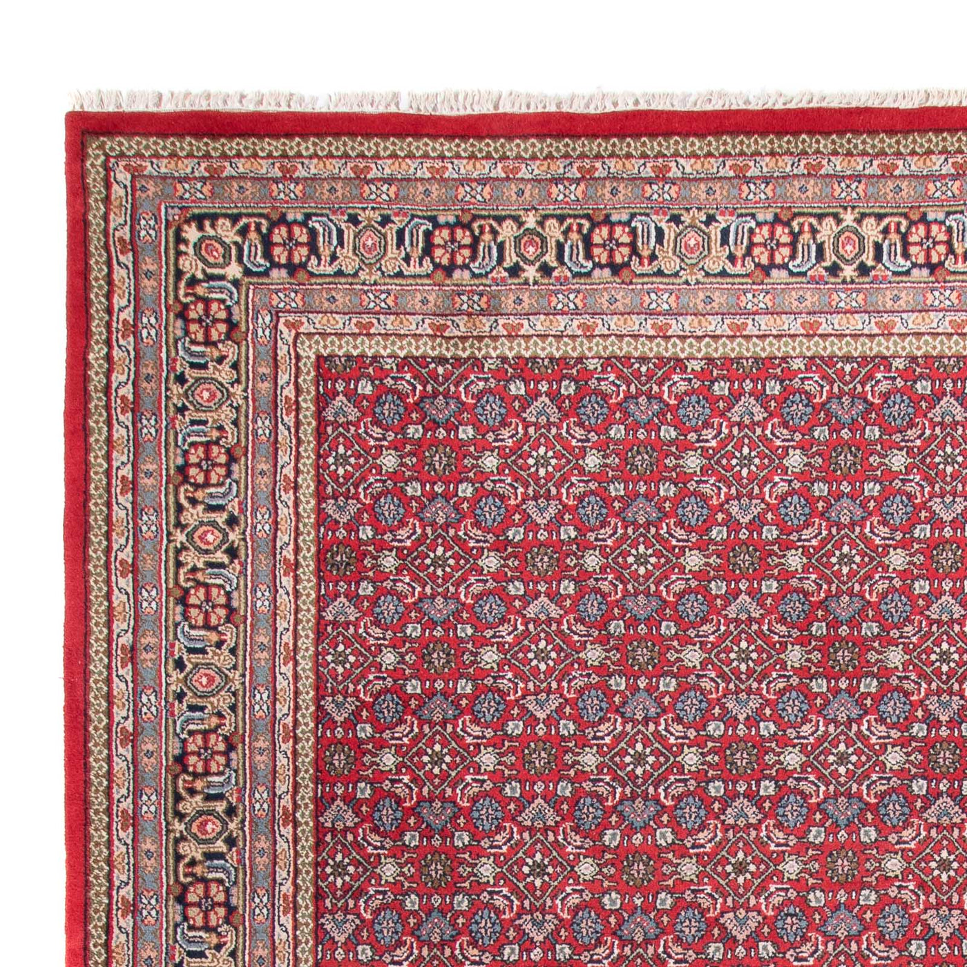 インド ビジャー 絨毯 353x253cm - オリエンタル絨毯