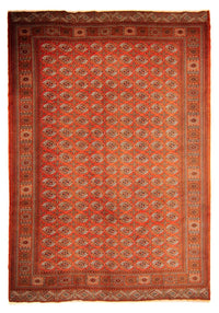 トルカマン絨毯 333x260cm - オリエンタル絨毯 – product image